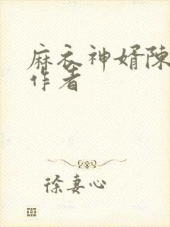 麻衣神婿陈黄皮作者