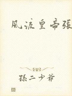 风流皇帝张无忌封面