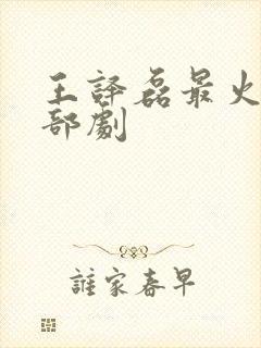 王译磊最火的三部剧封面