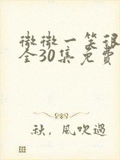 微微一笑很倾城全30集免费观看