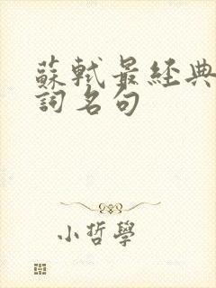 苏轼最经典的诗词名句