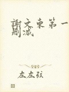 谢文东第一季未删减封面