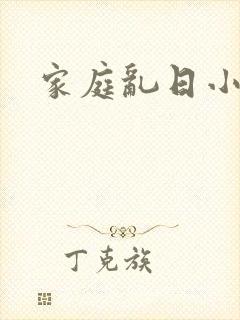 家庭乱日小说封面