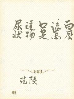 尿道口流白色脓状物是怎么回事封面