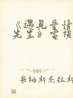 《遇见爱情的利先生》电视剧