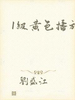 1级黄色播放片