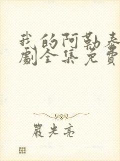 我的阿勒泰电视剧全集免费观看