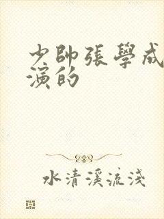 少帅张学成是谁演的