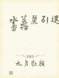 水菜丽引退三部番号封面