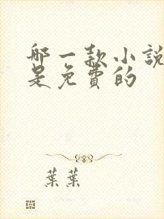 哪一款小说软件是免费的