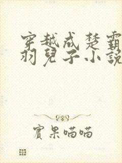 穿越成楚霸王项羽儿子小说免费阅读