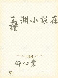 王渊小说在线阅读封面