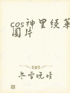 cos神里绫华图片