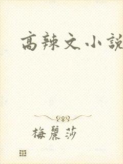 高辣文小说