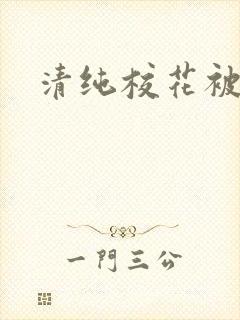 清纯校花被c封面