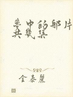 梦中的那片海一共几集