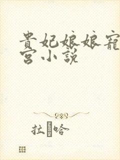 贵妃娘娘宠冠后宫小说