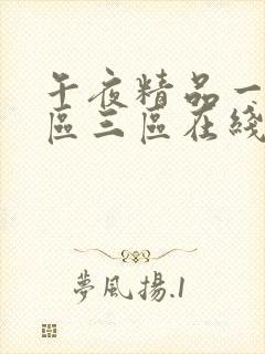 午夜精品一区二区三区在线播放