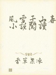 风雪千山春色晚小说阅读