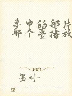 梦中的那片海在哪个台播放