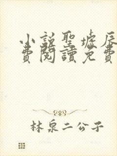 小说圣墟辰东免费阅读免费