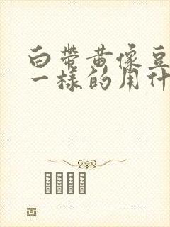 白带黄像豆腐渣一样的用什么药