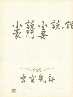 小说小说,错嫁豪门妻