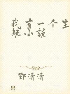 我有一个生子系统小说封面