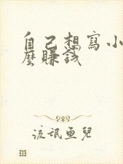 自己想写小说怎么赚钱