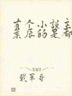 有个小说主角叫叶辰的是都市什么小说