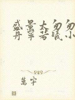 盛景太匆匆沈砚舟宁若曦小说