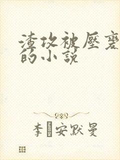 渣攻被压变成受的小说