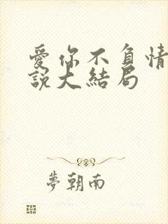 爱你不负情深小说大结局
