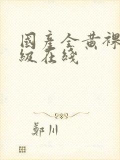 国产全黄裸体三级在线