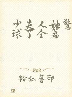 少夫人她惊艳全球了全篇