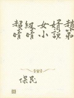 超级女婿赵旭李晴晴小说第9