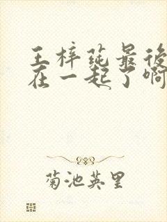 王梓莼最后和谁在一起了啊