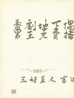 番剧地下偶像双男主免费播放