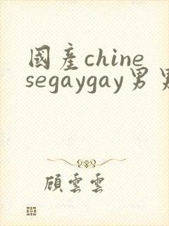 国产chinesegaygay男男