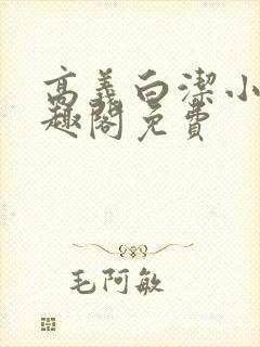 高义白洁小说笔趣阁免费封面