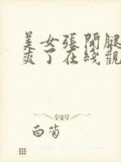 美女张开腿让我爽了在线观看