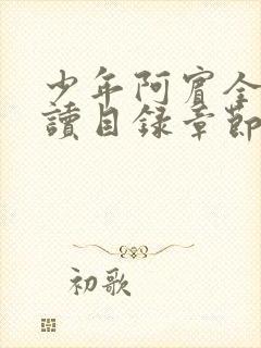 少年阿宾全文阅读目录章节小说