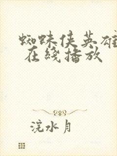 蜘蛛侠英雄无归 在线播放封面