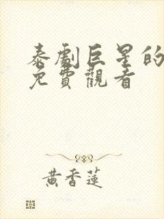 泰剧巨星的秘密免费观看