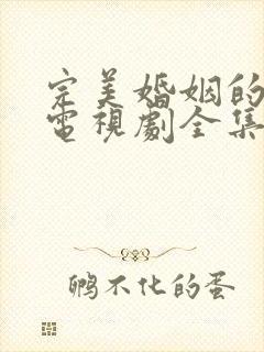 完美婚姻的定式电视剧全集免费观看封面