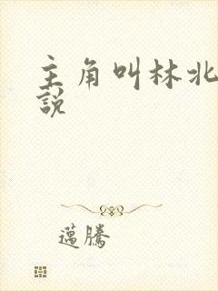 主角叫林北的小说