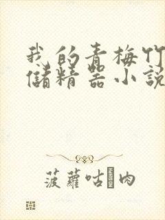 我的青梅竹马是储精器小说