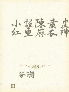 小说陈黄皮,叶红鱼麻衣神婿