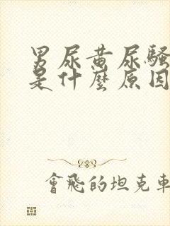 男尿黄尿骚味重是什么原因