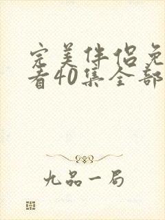 完美伴侣免费观看40集全部封面